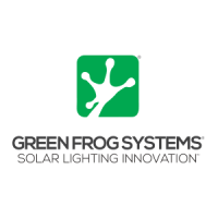 green frog solar lighting